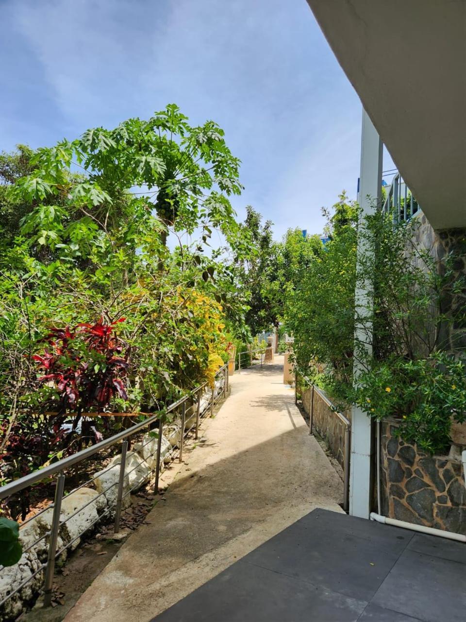 Hotel Ticozuma Montezuma Exterior foto